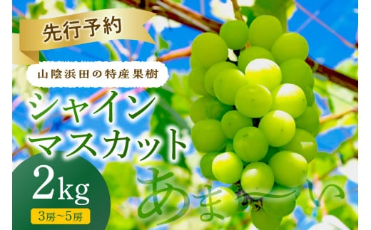 【2025年産】【先行予約】山陰浜田の特産果樹「シャインマスカット」２kg＜8月下旬から発送開始予定＞ 【010_1946】