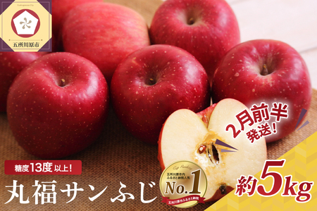 【2026年2月前半発送】 りんご 青森産 約5kg 丸福 サンふじ 光センサー 選果 糖度 13度以上