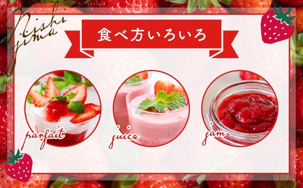 【先行予約】高知県南国市産／いちご（2027年1月〜発送）イチゴ 苺 フルーツ くだもの デザート 高評価 厳選 高級 ギフト 贈り物 人気 おすすめ