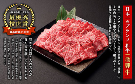 飛騨牛 A5 等級 焼肉 用 400g（ モモ肉 ） | 肉のかた山 やきにく M12S85