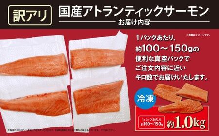 訳あり サーモン 約1kg 国産サーモン 訳あり