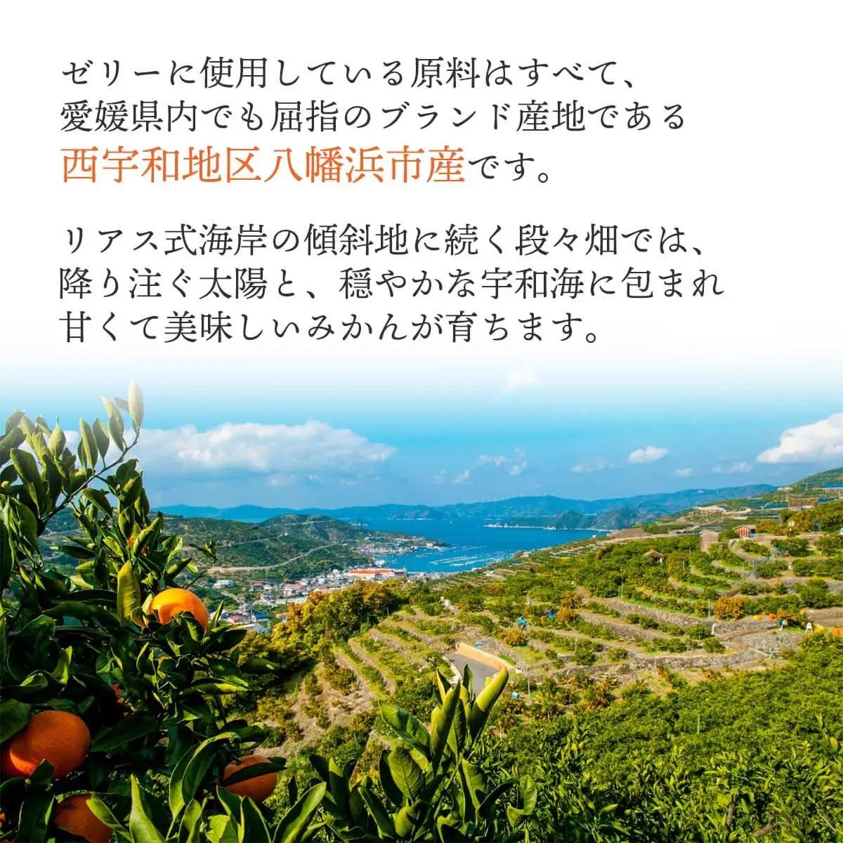 【発送月固定定期便】みかん寒天ゼリー定期便～毎月1品種10本 全12回【H25-147】【4012160】 YWTAP091