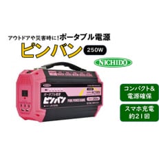 ポータブル電源ピンバン 250W