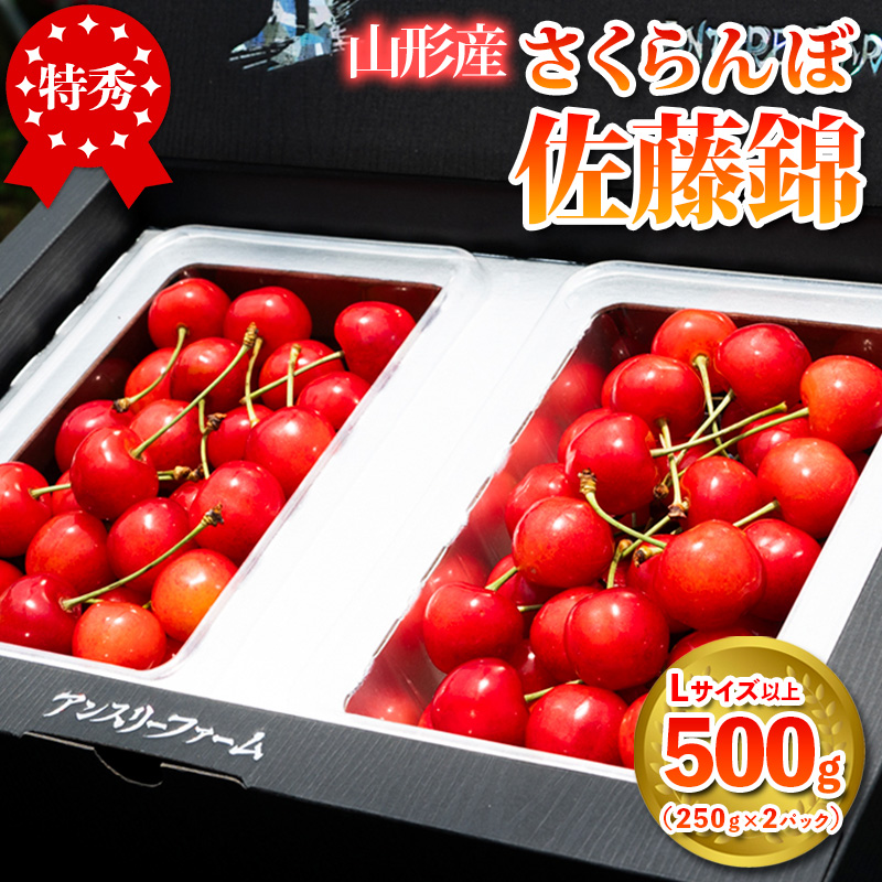  山形県産 さくらんぼ「佐藤錦」500g 特秀品 Lサイズ以上 【