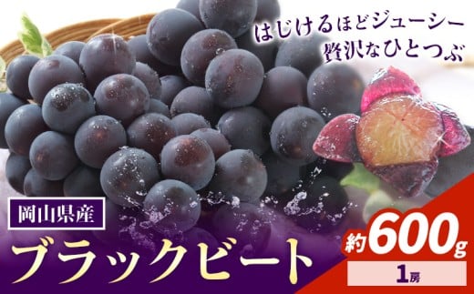 【2026年先行予約】岡山県産 ぶどう ブラックビート 600g 1房 株式会社 はちや《2026年8月上旬-9月上旬頃出荷》岡山 国産 葡萄 フルーツ 果物 岡山県 浅口市 フルーツ 果物【配送不可地域あり】