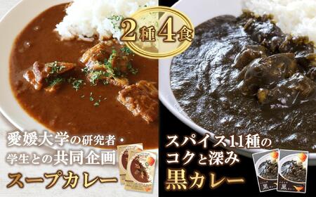 うちこおろぎスープカレー2個と定番コオロギ黒カレー2個セット／国産牛肉 タンパク質 食物繊維 鉄分 亜鉛 保存食 防災 内子町【株式会社ヒューネット風の谷うちこおろぎファーム】 [BKBN003]
