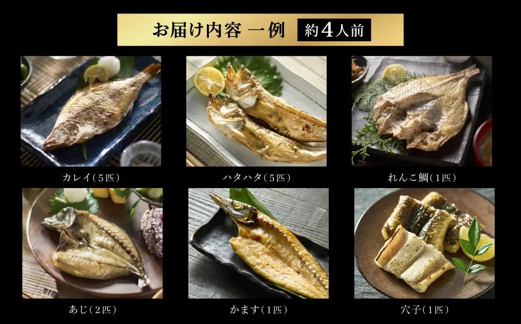 おけしょう鮮魚 自家製 旬の干物 詰め合わせセット 約4人前