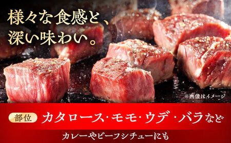 瀬戸山麓和牛サイコロステーキ800g /牛肉 ステーキ 牛ステーキ 和牛  / 瀬戸市 /合資会社関屋精肉店[BBBQ052]