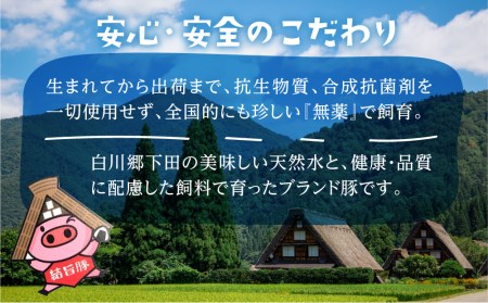 白川郷 結旨豚 ブロック肉 4種セット 計2kg 豚肉 ぶた肉 ブロック肉 国産肉 真空パック かたまり肉 肉 バーベキュー BBQ キャンプ ステーキ ロース 肩ロース バラ肉 もも肉 食べ比べ [