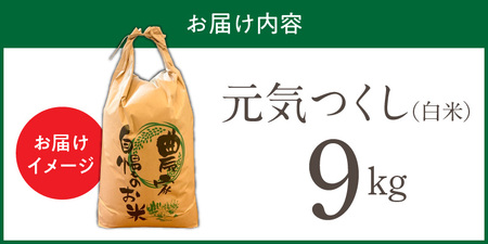 【令和7年産 新米】福岡県産ブランド米元気つくし 白米 9kg_元気つくし 白米 内容量 9kg 福岡県産 ブランド米 精米 鮮度抜群 新鮮 福岡生まれ 品種 香り豊か ふっくら 食感 ご飯 白ご飯 