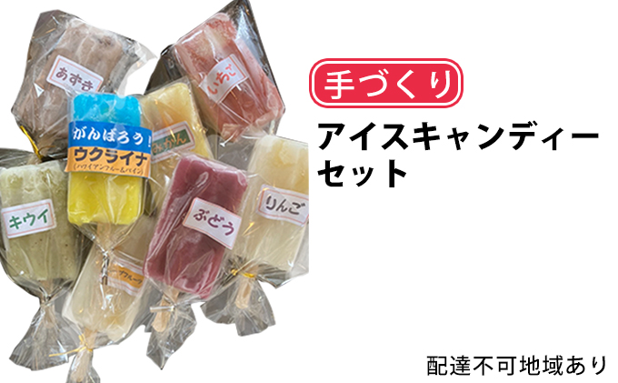 手づくりアイスキャンディー おまかせ8本