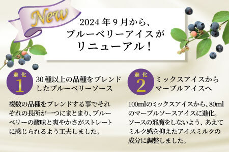 NEW★農薬！除草剤不使用！30品種をブレンドした ブルーベリー アイス16個入り アイスクリーム ブルーベリー 