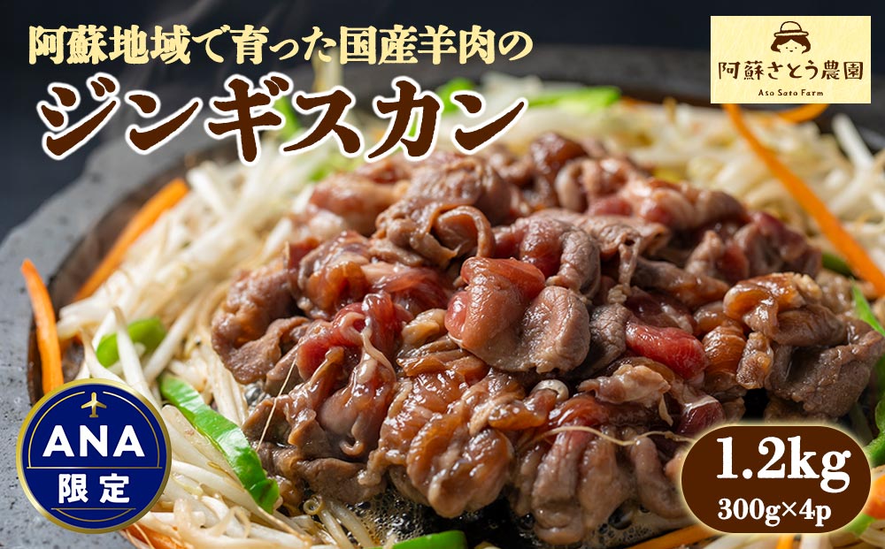 【選べる内容量】【国産】ジンギスカン 1.2kg 阿蘇さとう農園 阿蘇地域で生産した貴重な国産羊肉！ 冷凍 小分け 熊本特産 晩白柚風味 簡単調理 焼くだけ 本格 貴重 熊本グルメ ご当地グルメ 特製漬け込み お取り寄 BBQ 焼肉 食材 おかず ヘルシー 熊本県 阿蘇市