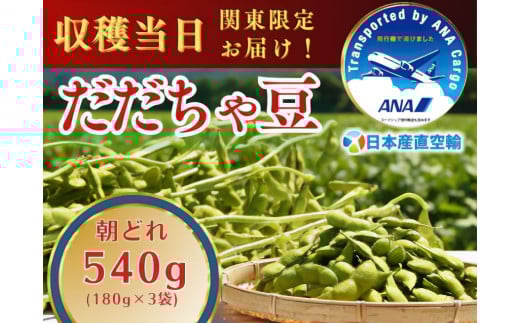 【令和7年産先行予約】朝採れだだちゃ豆 540g (180g×3袋)【8月上旬お届け】 「産直空輸」で限界鮮度を当日お届け！　山形県鶴岡市特産