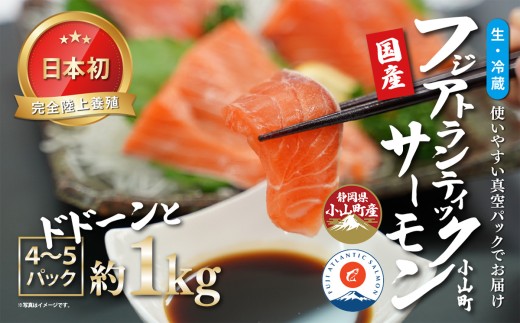 日本初 完全陸上養殖 静岡県小山町産 フジアトランティックサーモン 生 ・冷蔵 4～5P 約1kg | サーモン アトランティックサーモン 刺身 海鮮丼 小分け 真空パック 国産 鮭 養殖 静岡県 小山町