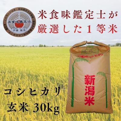 ふるさと納税 関川村 R7年産 新潟県岩船産 コシヒカリ玄米30kg　米食味鑑定士が厳選吟味した1等米 [青南総合農園]