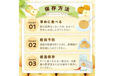 【先行予約／数量限定700】新興梨（訳あり） 5kg （7～12玉）（2024年10月上旬～発送）