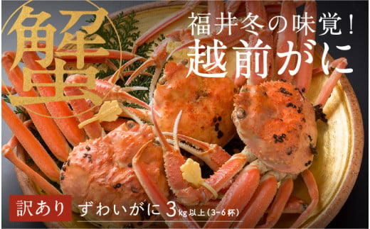 【選べる容量！産地直送】先行予約！福井の冬の王様！【訳あり】越前がに 合計3kg以上（3～6杯）5～7人前 2024年11月15日以降発送 [O-00911] / ズワイガニ ズワイ蟹 ずわい蟹 ずわい 剥き身 脚 爪 脚 かにしゃぶ カニ鍋 蟹 お歳暮 カニ かに