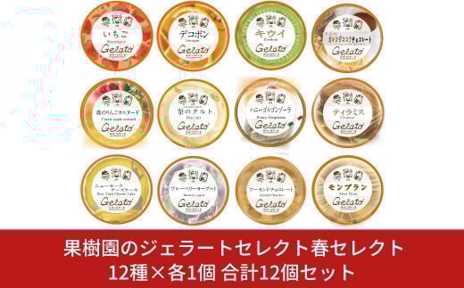 [春期限定]果樹園のジェラートセレクト春セレクト12 [12種×各1個] 合計12個セット ジェラート詰合せ アイス詰合せ [田沢農園] 【019S043】