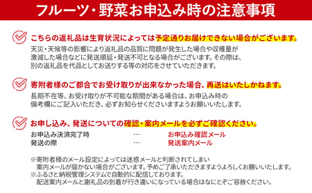 先行予約 アスパラ 2Lサイズ 1kg 朝採り 直送 夏芽 グリーンアスパラガス 朝採れ 数量限定 【2026年6月から8月お届け】 BT06