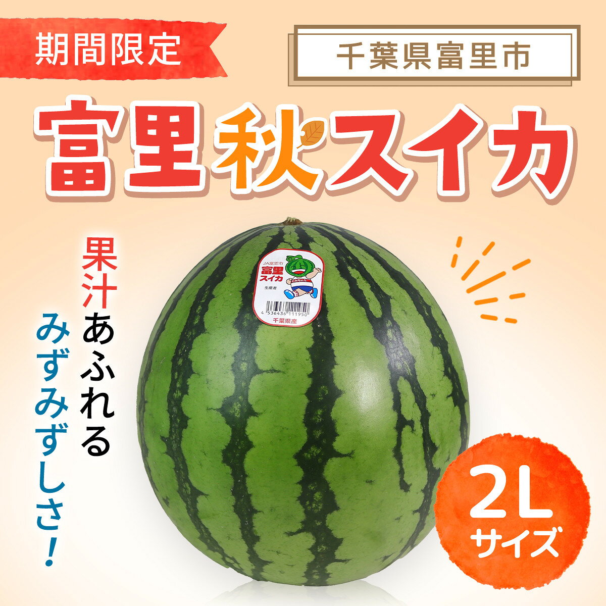 【ふるさと納税】【期間限定】富里秋スイカ 2L 1玉 / スイカ 西瓜 千葉県 富里市 果物 フルーツ 採れたて産地直送 農家直送 千葉県産 ちば 千葉すいか 千葉スイカ 富里 富里すいか 富里スイカ 甘い あまい 美味しい大玉 大玉スイカ　TMF012