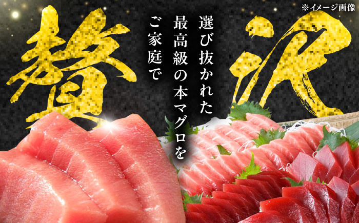 冷凍 マグロ まぐろ 中とろ 鮪 本マグロ 赤身 ねぎとろ トロ 刺身 寿司 海産物 鉄火丼 食べ比べ 海鮮 柵 大とろ 定期便