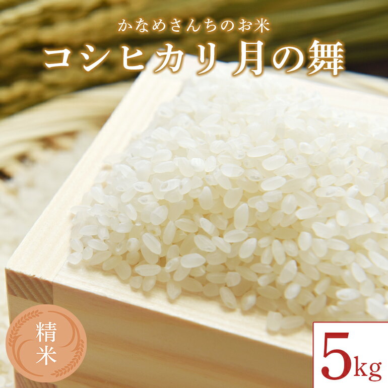 【ふるさと納税】かなめさんちのお米「月の舞」精米 5kg 令和7年度産 米 精米 コシヒカリ こしひかり ブランド米 お米 白米 国産 おにぎり 弁当 R7年産 ごはん おいしい 旨い ふっくら お米 茨城県 笠間市 いばらき