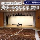 【ふるさと納税】No.313 行田市産業文化会館　大ホールをひとりじめ！（ピアノ利用あり） ／ チケット 音楽活動 ダンス 個人利用 練習場所 舞台 送料無料 埼玉県