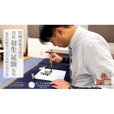 ふるさと納税 登米市 きらり保育園・ほしぞら保育園仙台六丁の目で大好評【命名色紙】直筆 |  | 01