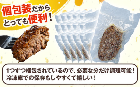 馬肉ハンバーグ 16個セット 130g×16個 《60日以内に出荷予定(土日祝除く)》 熊本県 津奈木町 ハンバーグ 馬肉ハンバーグ 馬肉 個包装 真空パック 人気 送料無料 専門店 冷凍惣菜 冷凍 