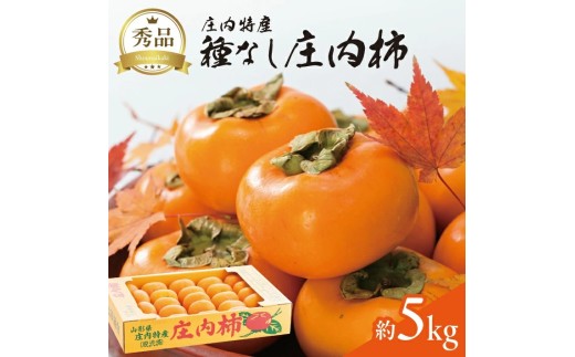 柿 種なし 秀品 約5kg 27～36玉入 先行予約 予約受付 庄内柿 柿 かき 種なし柿 甘い柿 フルーツ くだもの 果物 デザート 秋の味覚 スイーツ 甘い 人気 おすすめ マルト直治郎商店 山形 酒田 SA2955