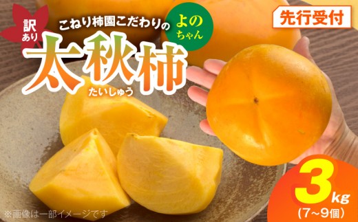 【先行受付】 訳あり 太秋柿 3kg こねり柿園こだわりの『よのちゃん太秋柿』 KNR0308