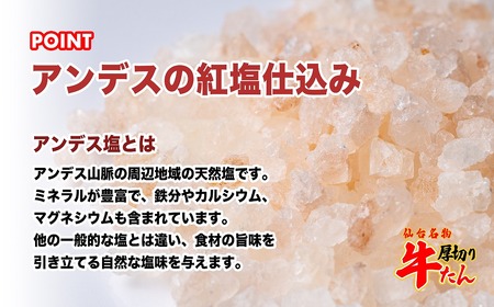 仙台名物　特選厚切牛タン8ｍｍ醤油たれ600ｇ＋国産南蛮味噌100g　【04209-0246】