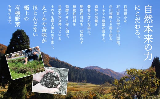 西田農園 季節の有機野菜詰合せ Ｂセット  野菜食べ比べ 旬の野菜 野菜セット オーガニック野菜 有機栽培 石川県 小松市