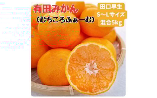 
            有田みかん 早生S～Lサイズ混合 約5kg
          