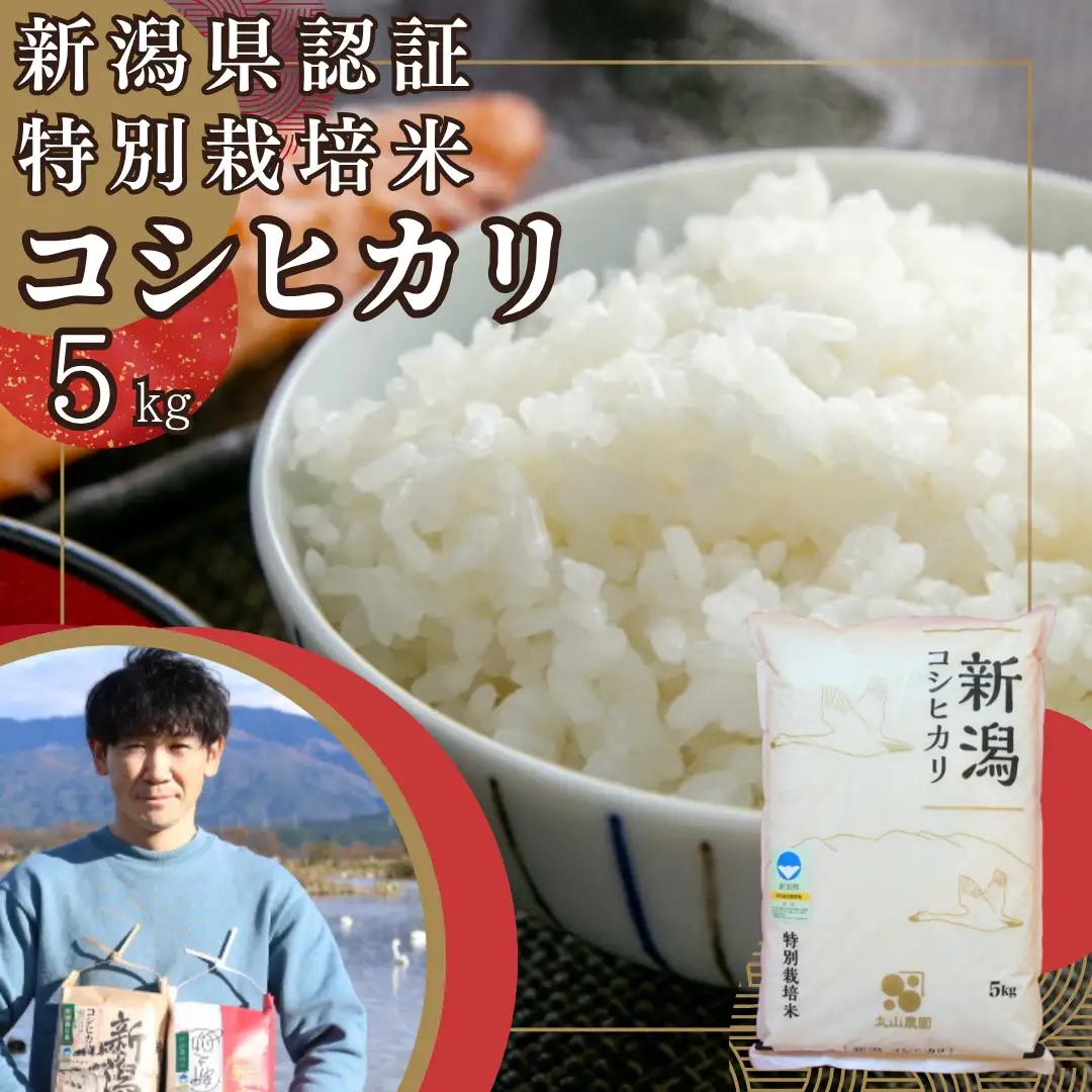 【令和8年産新米予約】【新潟県認証米】 5kg 特別栽培米 従来コシヒカリ 阿賀野市産 丸山農園 米 こめ コメ 白米 精米 新米 新米予約 令和8年産 10月上旬より順次発送予定 3F01015