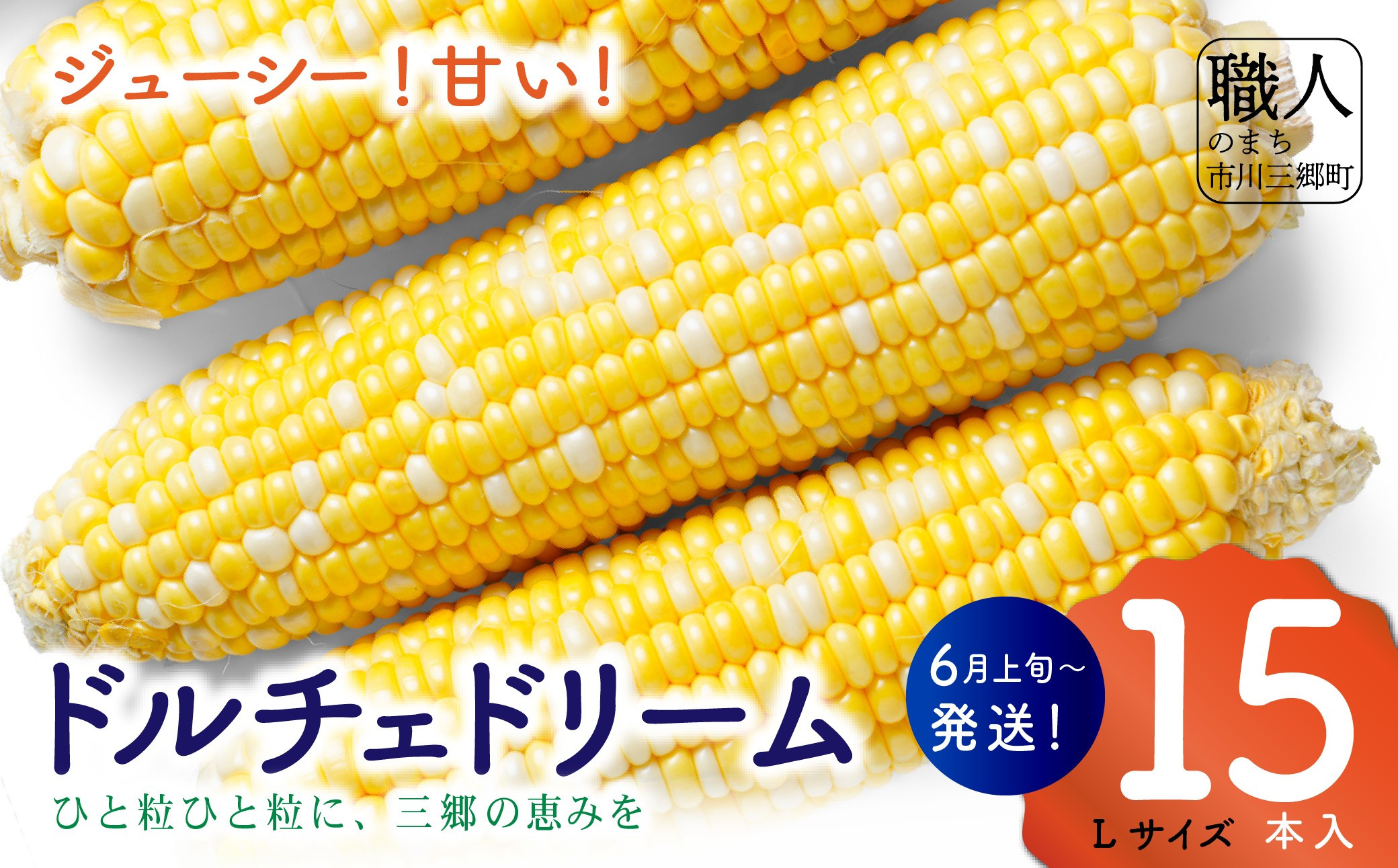 
            ドルチェドリーム　Lサイズ　１５本入り　【2025年6月上旬から発送】　岩下農園[5839-2186]
          