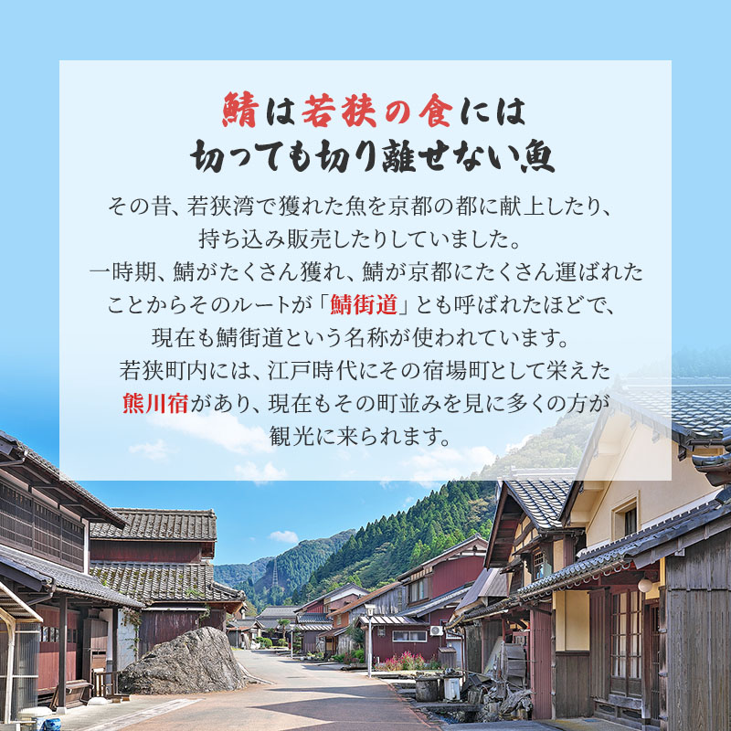【祝北陸新幹線延伸】サバ缶 若狭の鯖缶 24缶 セット 水煮 鯖缶 さば サバ 鯖 缶 缶詰 魚 魚介 魚介類 海鮮 福井 若狭町