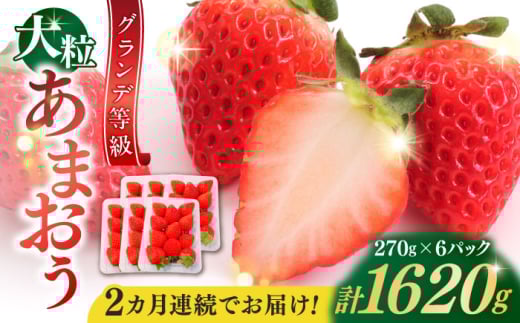 【全2回定期便】【2026年3月初旬より順次発送】 あまおう いちご 1620g (約270g×6パック) 吉富町/株式会社HSP-テクノ [BGBQ004] いちご あまおう 苺 イチゴ いちごあまおう 果物 くだもの フルーツ 甘い 福岡県 いちご定期便