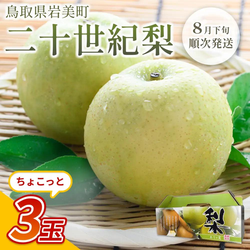 【先行予約】中野農園 梨 ”二十世紀梨” 3玉入り｜鳥取 岩美 梨 なし ナシ※お届けは2026年8月下旬以降【41024】