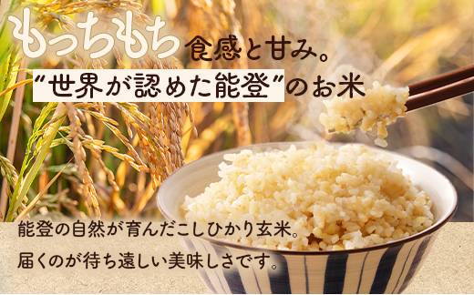 【発送時期が選べる】令和7年産 石川県能登産 こしひかり玄米10kg（5kg×2個） / 米 玄米 10kg 日本初！世界農業遺産認定「能登の里山里海」の恵み ｜石川県 七尾市 能登 こしひかり お米