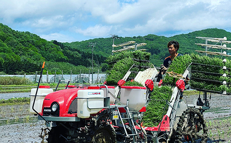 【先行予約】 【定期便】 つむぎ米 10kg【北海道産ゆめぴりか】令和6年産 全3回 《山本農園》 森町 こめ 精米 お米 米 白米 ゆめぴりか 北海道米 北海道産 北海道 mr1-0627