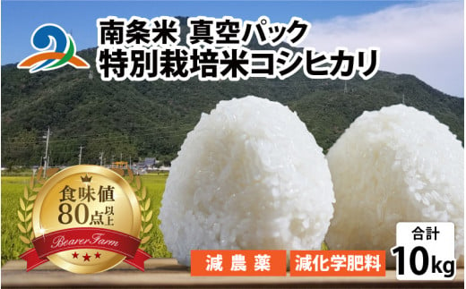 【先行予約】【令和6年産】南条米 特別栽培米コシヒカリ 真空パック 10kg(5kg×2袋)【2024年10月上旬より順次発送】