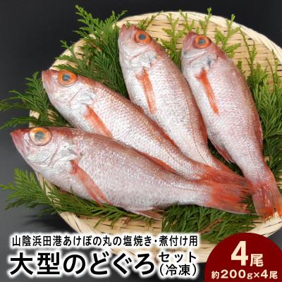 ふるさと納税 浜田市 山陰浜田港あけぼの丸の塩焼き・煮付け用大型のどぐろセット