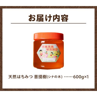 ふるさと納税 滝川市 【北海道滝川産】高見養蜂場の純粋はちみつ(菩提樹、シナの木600g×1本) 国産 天然 無添加 蜂蜜 |  | 02