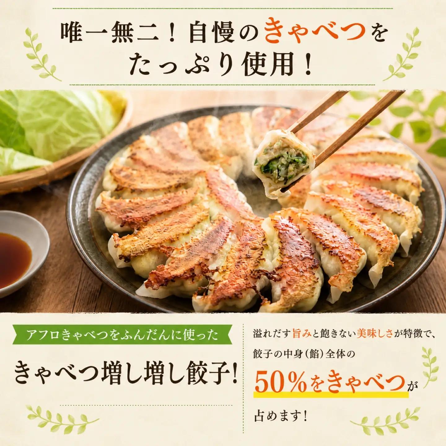 餃子 きゃべつ餃子 120個