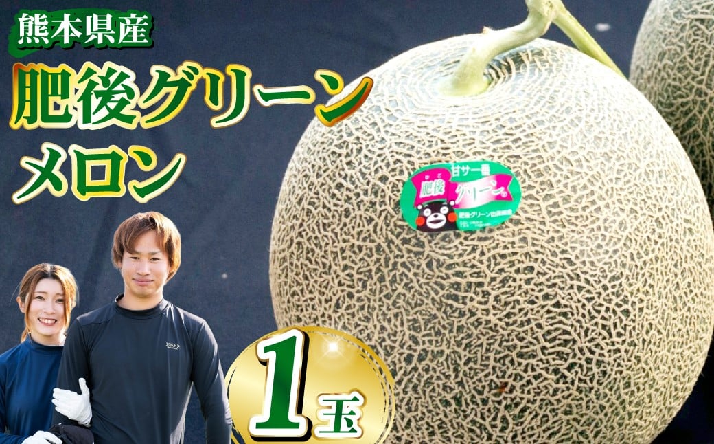 
            肥後グリーンメロン 1玉【2026年5月下旬発送開始】 メロン フルーツ くだもの 果物 熊本県産 国産
          