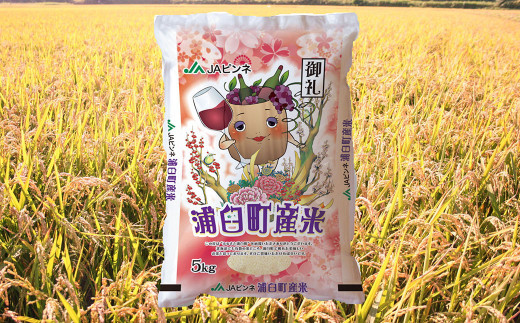 【2回定期便】浦臼産ゆめぴりか 精白米 5kg×1袋 | 米 お米 こめ コメ ブランド米 白米 精米 ごはん ゆめぴりか 定期 定期便 北海道産 浦臼産 北海道 浦臼町 【2026年10月下旬より順次発送】