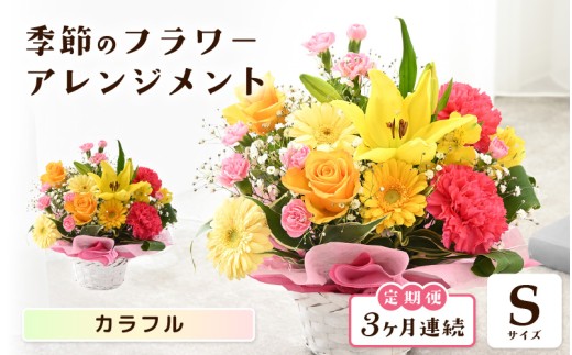 定期便 ≪3ヶ月連続お届け≫ 選べるカラー 季節のフラワーアレンジメント S ( カラフル) 【お花 フラワー アレジメント 花束 ギフト 生花 プレゼント 花束 花 記念日 敬老の日 お祝い】 [B-20714_03]