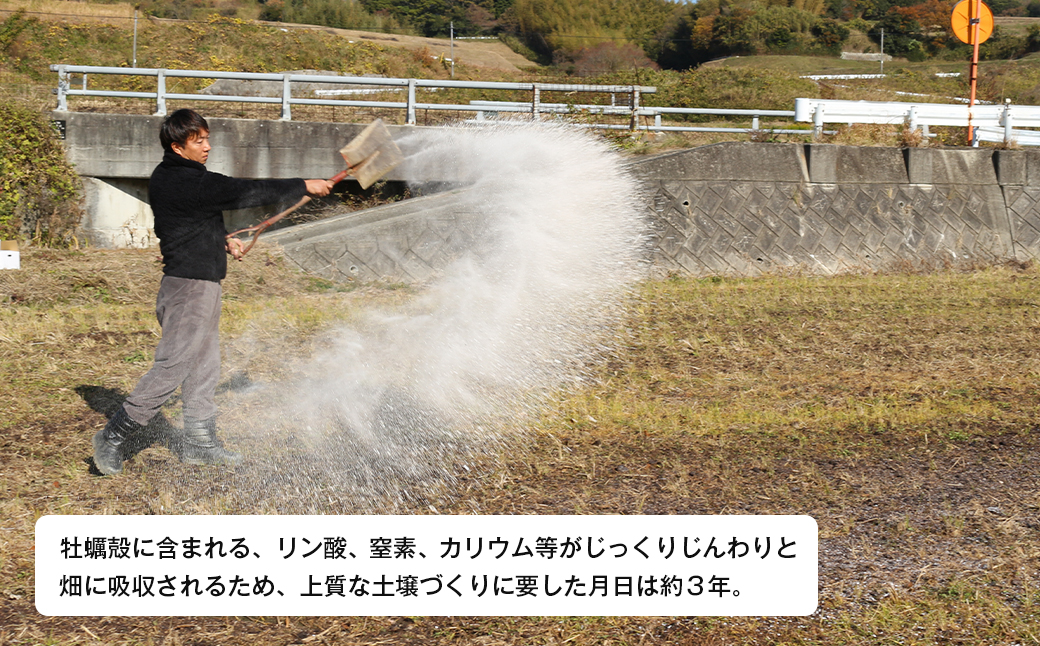 淡路島産玉ねぎオイスターラブ 10kg箱